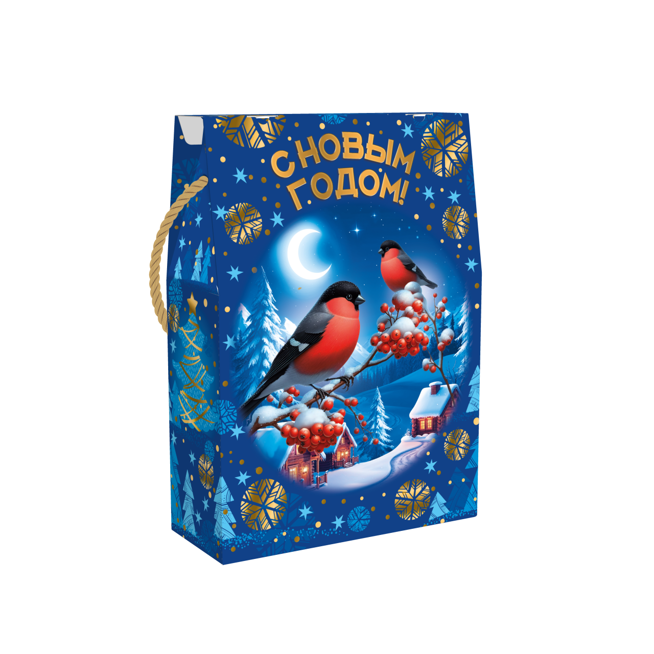 Звёздная Ночь