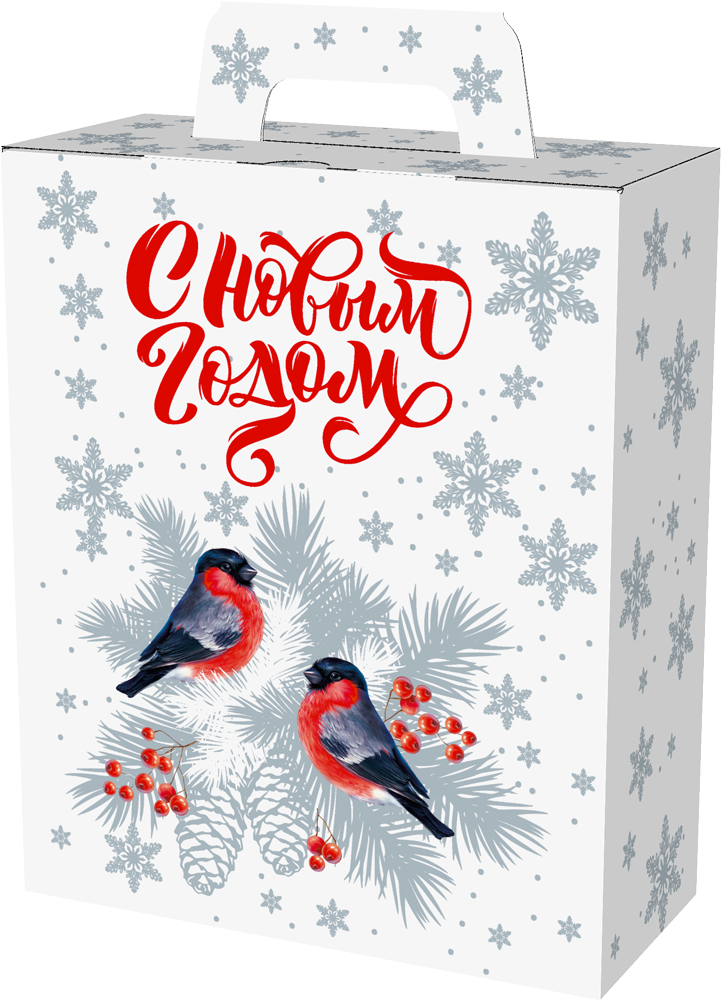 Дед Мороз и Снегурочка