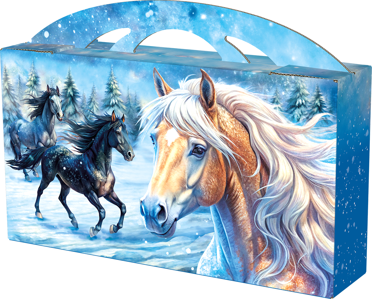 Портфель Макси Простор