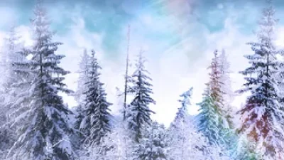 Сертификаты.